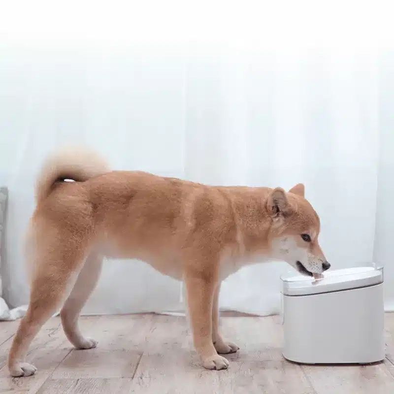 Xiaomi Smart Pet Fountain EU - Image 3
