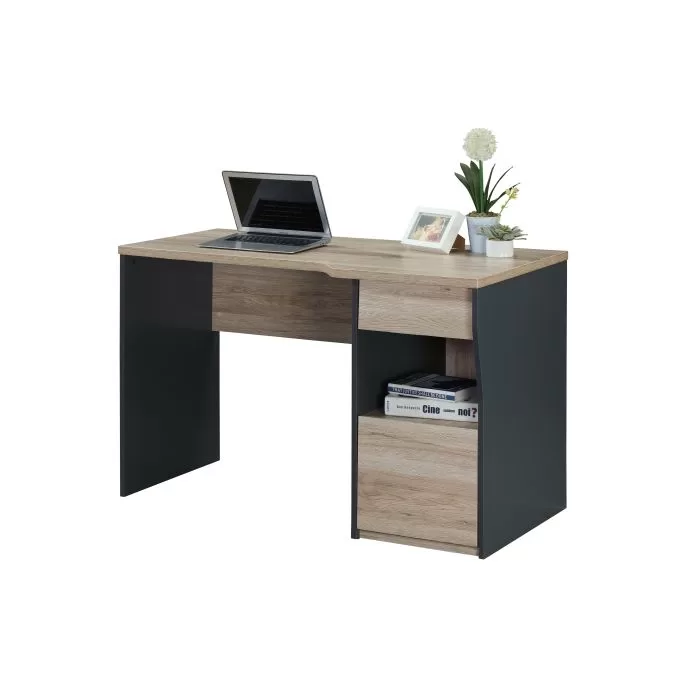 Linx Colorado Work Desk
